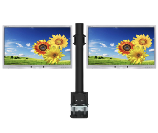 PHILIPS MONITOR x2 220P4LP 22 '' WIDESCREEN LCD RFB (DUAL-BASE) - 2YW